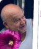 Profile picture for user Bent Staalhøj